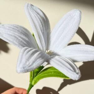 White Pipe Flower